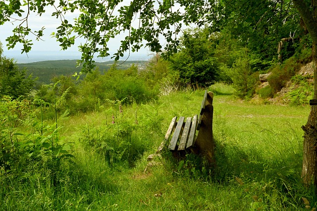 CBA赛季焦点对决回顾