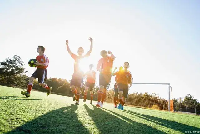 Shams：雄鹿球星字母哥因右小腿拉伤将缺席2-4周